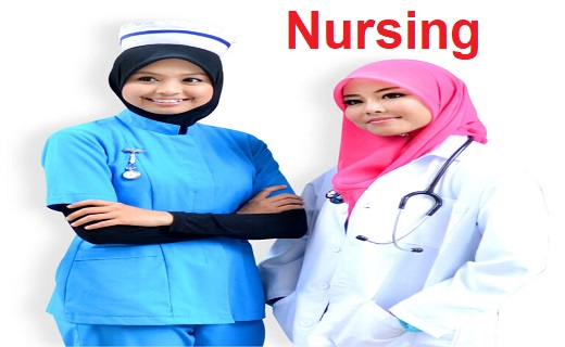 Your Guide To Top Nursing University at Malaysia